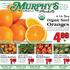 Lb. Oranges. 4 Lb. Bag Organic Navel. Ea. MurphysMarkets.net. Lb. Ea. Locally Owned and Operated. Since 1971!