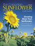 sunflower the Canadian Grower Growing More Than Sunflowers: Growing an Association Premier Issue The official publication of the