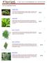 Spring Vegetable Plants: