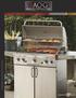 RH PETERSON COMPANY AMERICAN OUTDOOR GRILL COLLECTION CATALOG