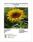 A PROFILE OF THE SOUTH AFRICAN SUNFLOWER MARKET VALUE CHAIN