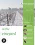 January In This Issue. Board News and Views GGO Annual General Meeting. Growing Forward 2 Update. LCBO Q Wine Sales Report