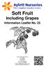 Soft Fruit Including Grapes Information Leaflet No. 23