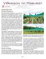 Around New York... Statewide Vineyard Crop Development Update #2 September 15, 2017 Edited by Tim Martinson and Chris Gerling
